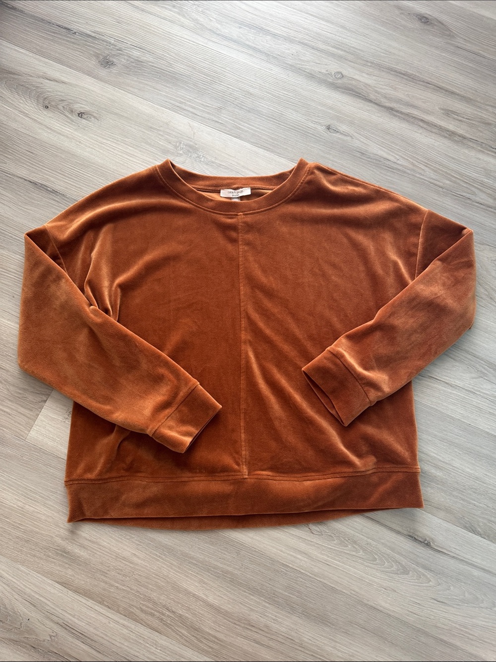 Cable & Gauge Velvet Crewneck Sweatshirt - Rust